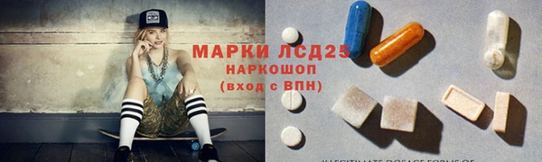 СК Кукмор