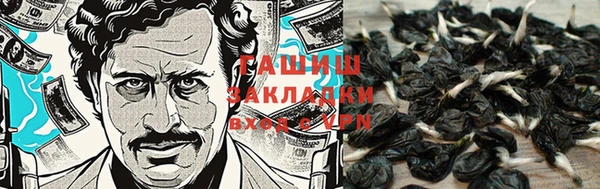 СК Кукмор